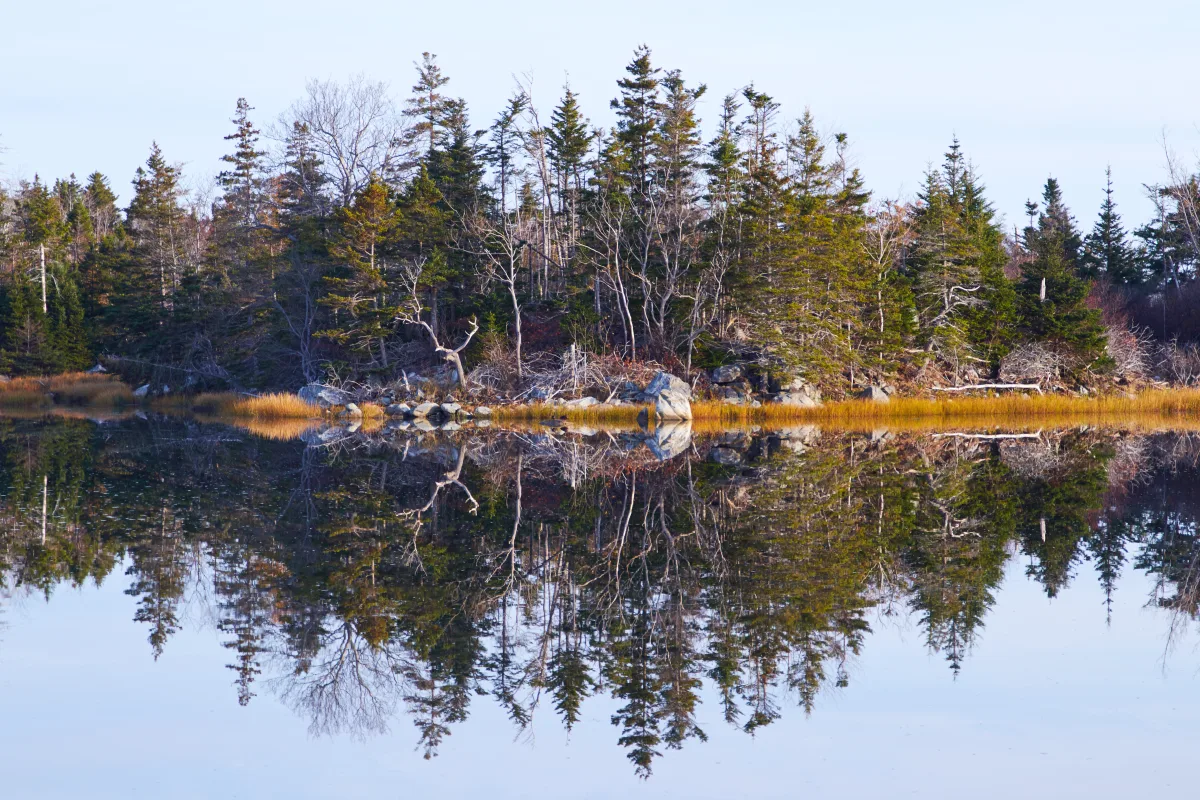 Lake Reflection